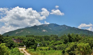 惠州旅游必去的4个景点 惠州旅游必去的4个景点介绍
