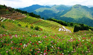 福州旅游景点排名前十（福州旅游景点排名前十鼓山得名）