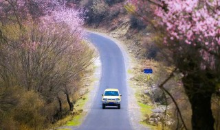 适合春季旅游的地方（春季适合去的旅游景点）