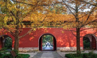 南京免费景点 2022南京免费景点