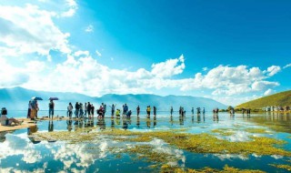 最适合去云南的旅游季节（最适合去云南的旅游季节是）