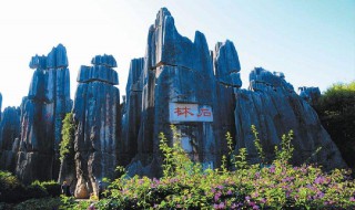 云南旅游攻略七日游 云南旅游攻略七日游