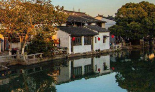 洛阳的旅游景点（洛阳的旅游景点是哪里）