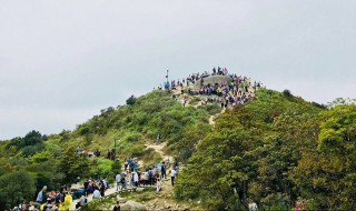 深圳梧桐山海拔多少米 深圳梧桐山海拔多少米爬上去要多久