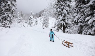 滑雪技巧初学者双板 滑雪技巧初学者双板怎么刹车