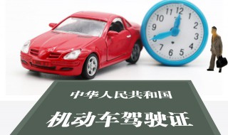 怎么查询驾驶证信息 驾驶证丢了怎么查询驾驶证信息