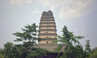 小雁塔和大雁塔的区别（小雁塔和大雁塔的区别在哪里）