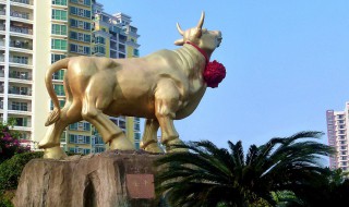 海口有什么好玩的景点 海口有什么好玩的景点和公园