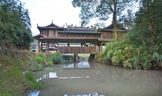 泰顺旅游必去景点介绍（泰顺旅游必去景点介绍词）