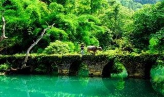荔波大小七孔景点介绍 荔波大小七孔景点介绍适合旅游季节