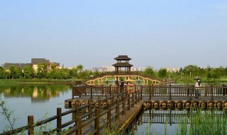 洋湖湿地公园有什么好玩的地方（洋湖湿地好玩吗）