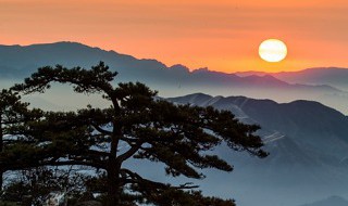 黄山介绍及特点（安徽黄山介绍及特点）