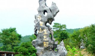 柳州景点（柳州景点一日游攻略）