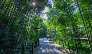 溧阳旅游景点推荐（江苏溧阳旅游景点推荐）