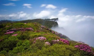 南川景点（重庆旅游攻略5天自由行攻略）