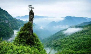 大竹县旅游景点（大竹哪里有好玩的地方）