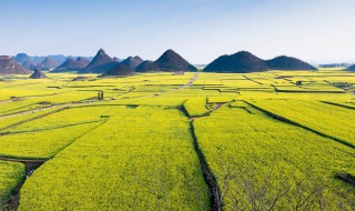 罗平旅游景点大全（罗平十大旅游景点）