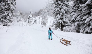 冬季滑雪的技巧有哪些 冬季滑雪的技巧有哪些呢