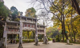 古隆中景点介绍（古隆中景点介绍作文）