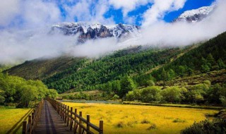稻城亚丁旅游景点（稻城亚丁旅游景点海拔多少米）