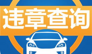 怎么查询自己违章处理 怎样查询自己违章