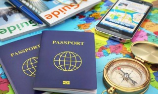 怎样办理出国旅游签证（怎样办理出国旅游签证手续）