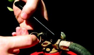 车载灭火器选购和使用方法 车载灭火器选购和使用方法图片