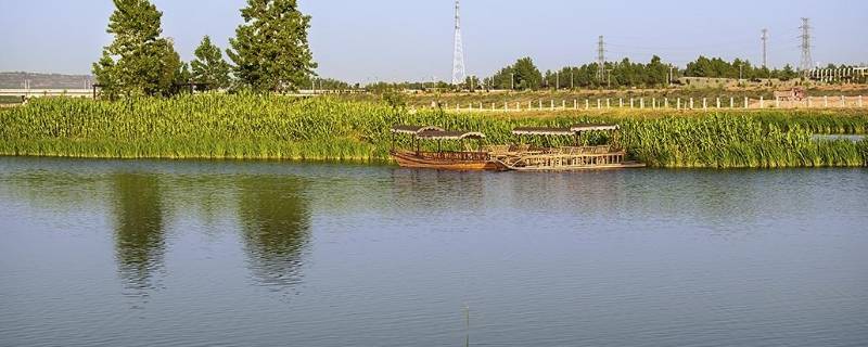 宾阳湿地公园在哪里 宾阳湿地公园在哪里啊