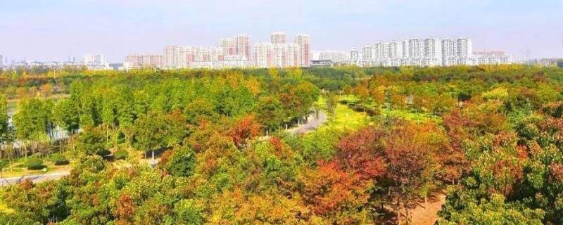 城东公园在哪里（东城公园有哪些地方）