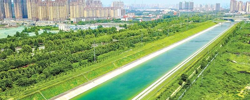 丹水在哪里（丹水在哪里打疫苗）