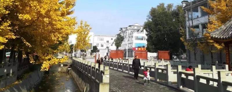 隆丰在哪 隆丰在哪个城市