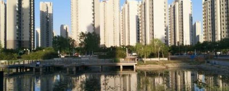 天津东丽区是滨海新区吗 东丽区与滨海新区界线