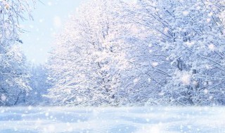 雪乡旅游指南（雪乡旅游介绍）